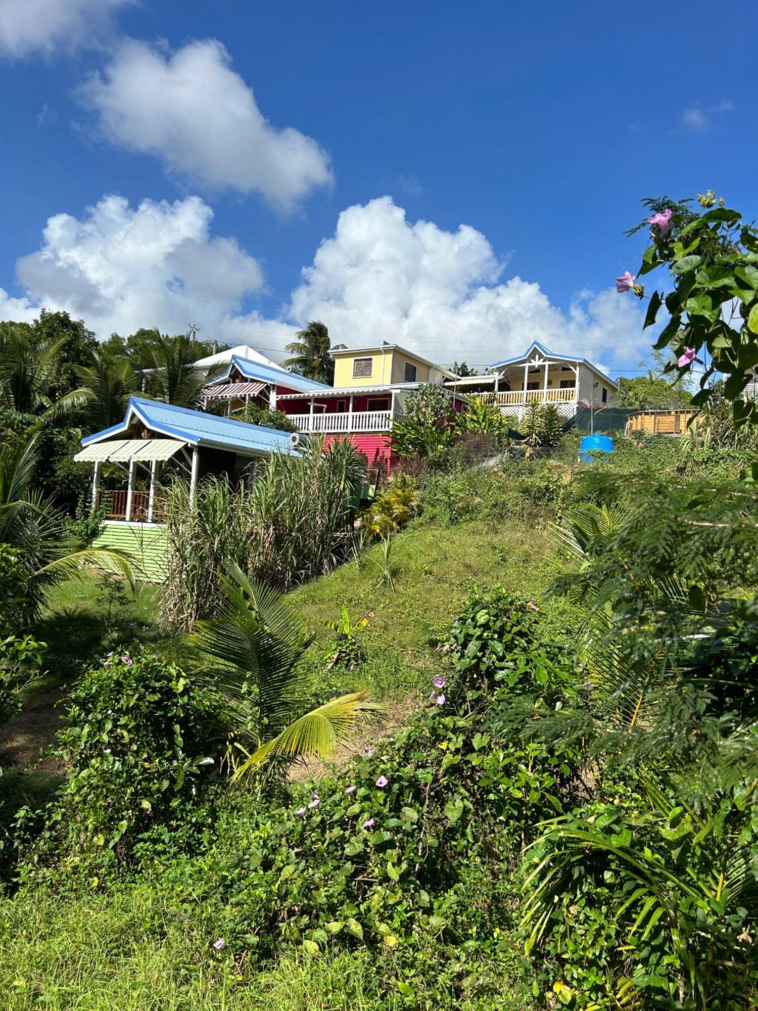 Hotel L'Escale Tropicale Sainte-Anne  Exterior foto